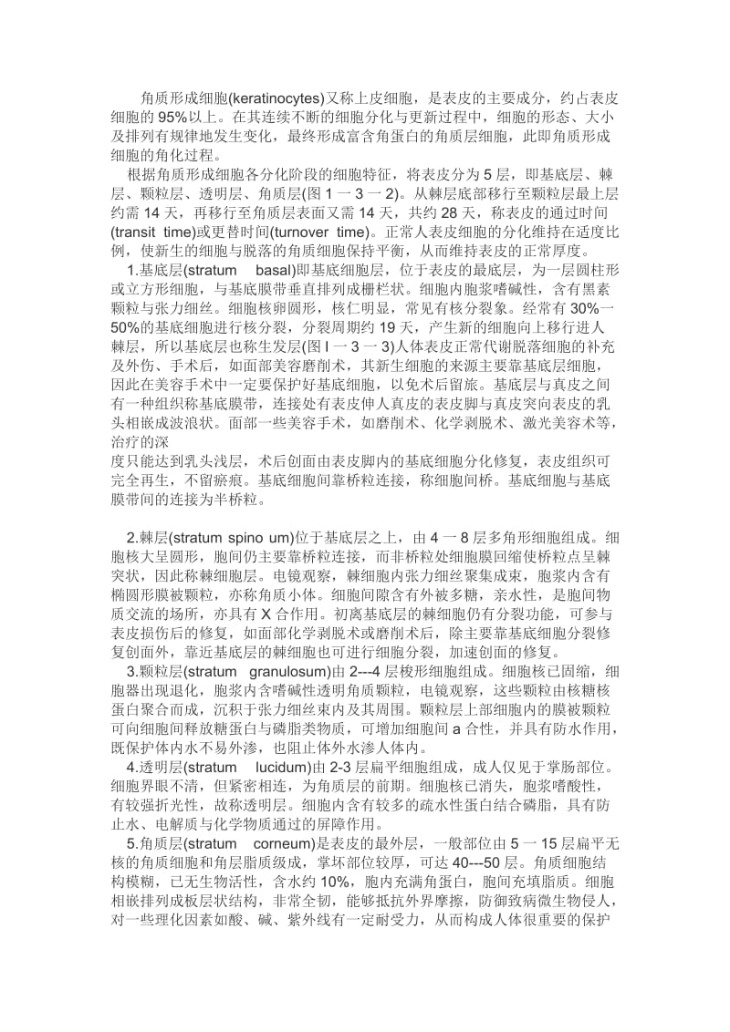 角质形成细胞.doc_第1页