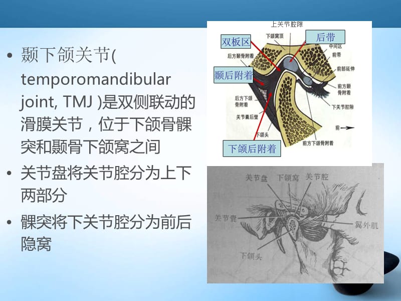 颞下颌关节紊乱MRI表现;.ppt_第3页