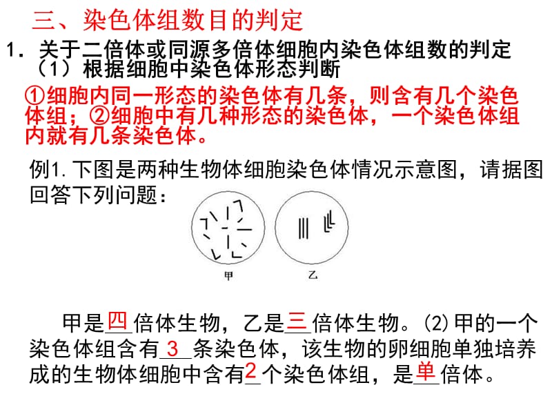 染色体组的理解与判断;.ppt_第3页