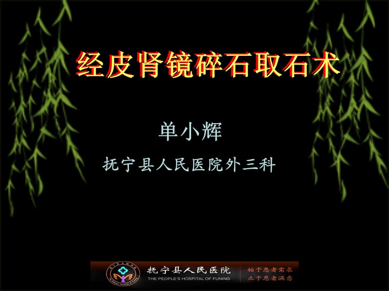 经皮肾镜碎石取石术ppt课件.ppt_第1页