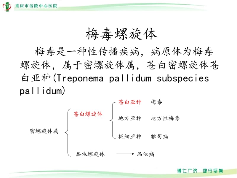 梅毒血清学检测策略及影响因素;.pptx_第3页