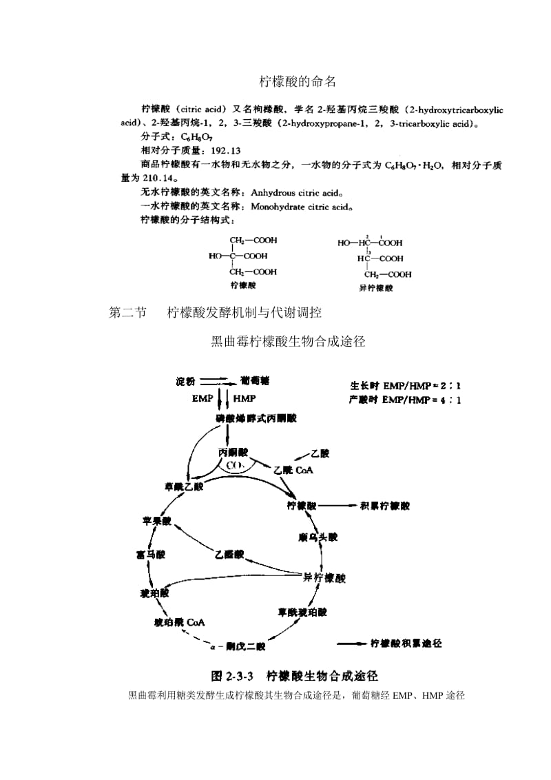 柠檬酸生产工艺简介.doc_第3页