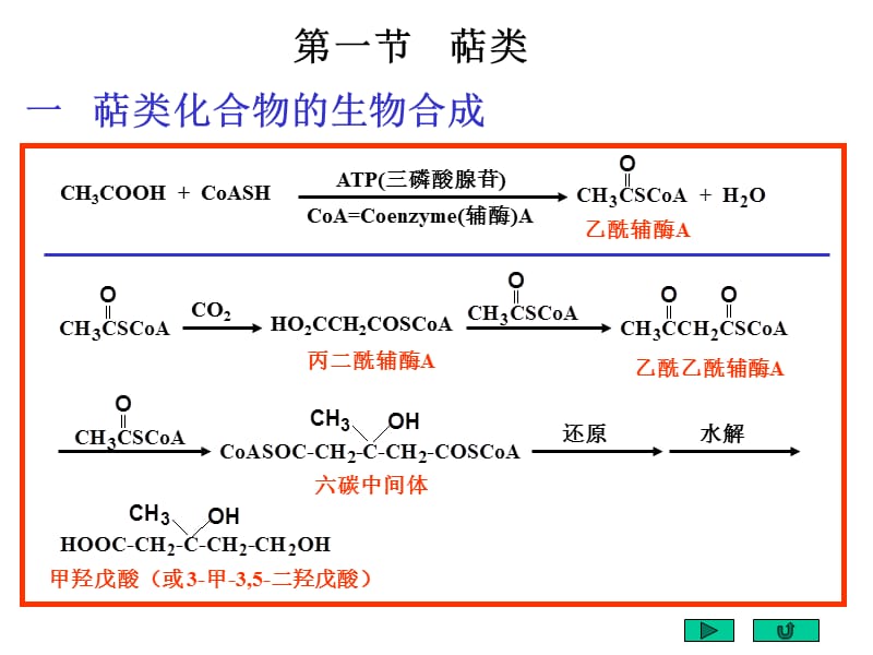 北京大学有机化学课件23.ppt_第3页