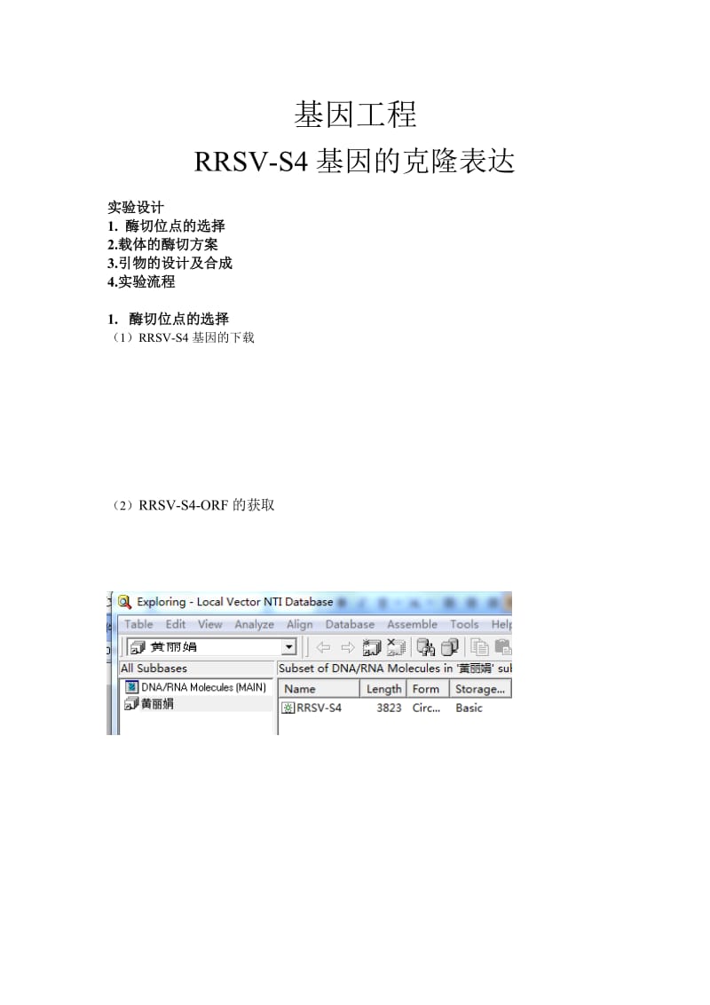 基因工程RRSV-S4基因的克隆表达.docx_第1页