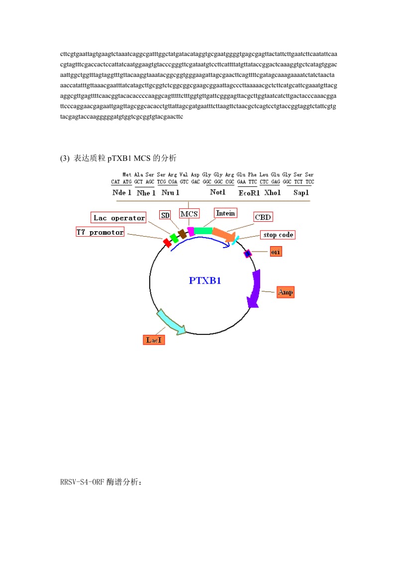 基因工程RRSV-S4基因的克隆表达.docx_第3页