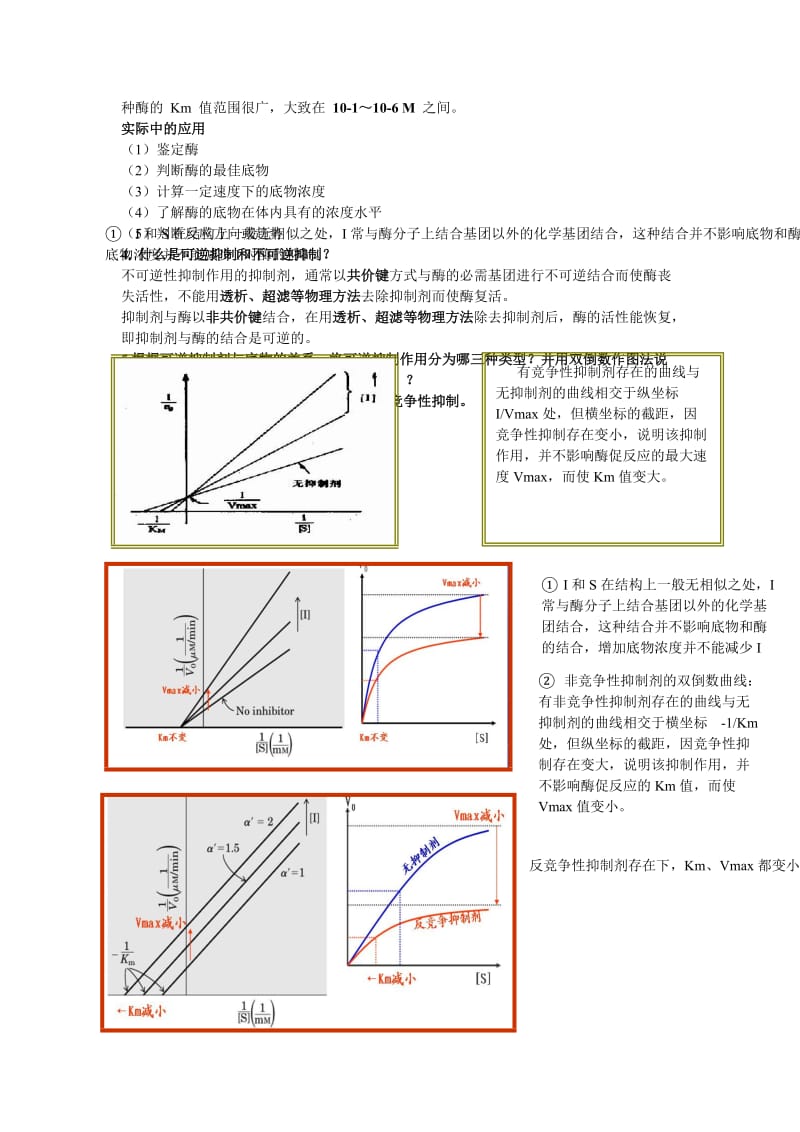 食品酶学整理资料1.doc_第3页