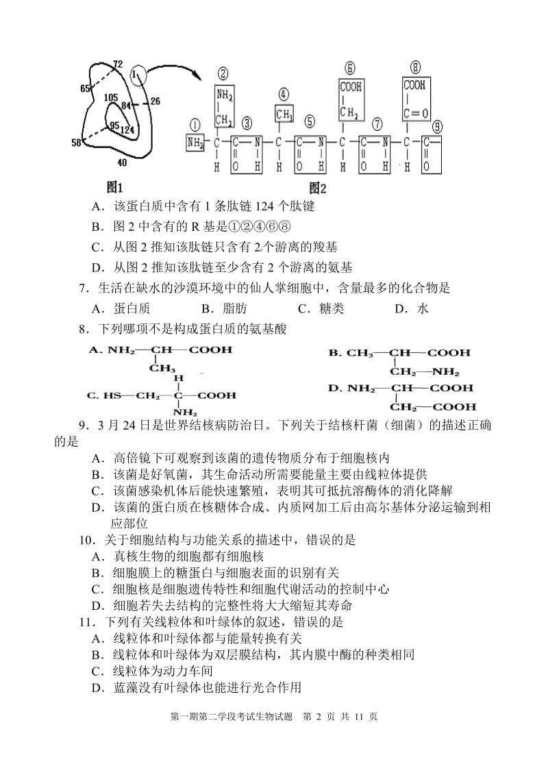 高中生物必修一期末考试试题及答案.docx_第2页