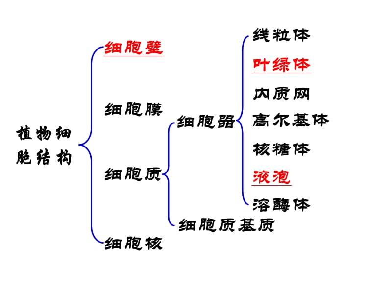 高中生物——细胞结构功能图.ppt_第3页