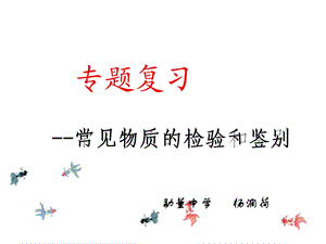 专题复习《物质的检验和鉴别》课件.ppt