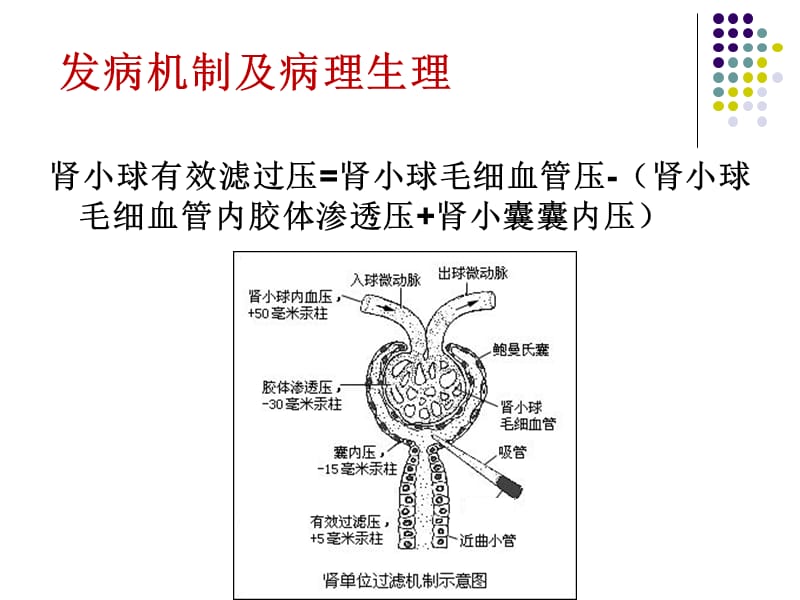 急性肾损伤与血液净化治疗;.ppt_第3页