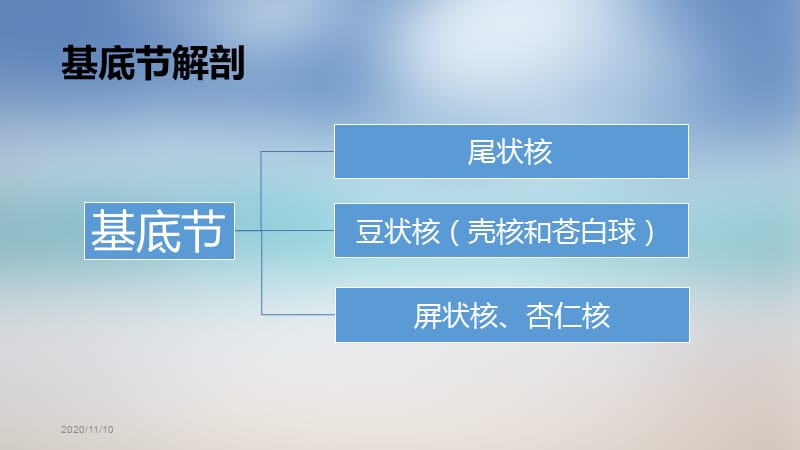 基底节、内囊;.ppt_第3页