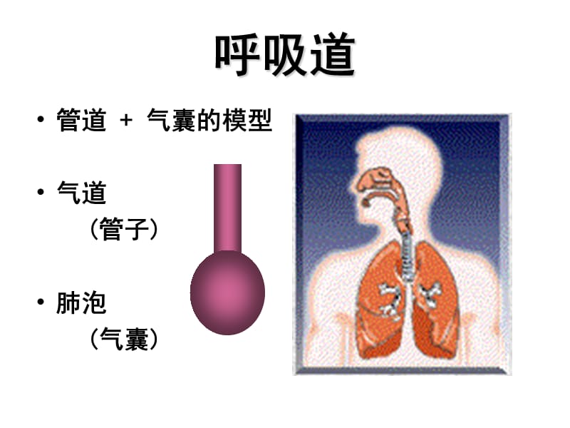 呼吸力学的监测;.ppt_第2页