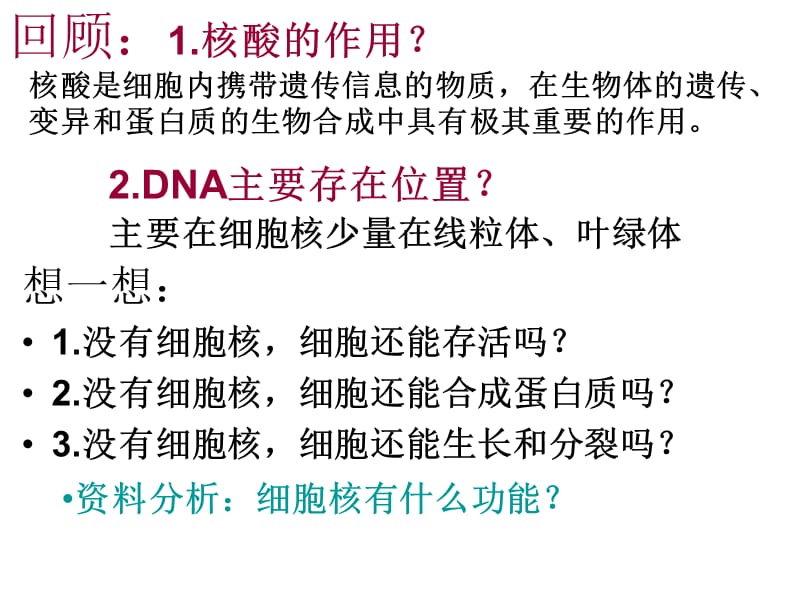 高中生物必修一细胞核;.ppt_第3页