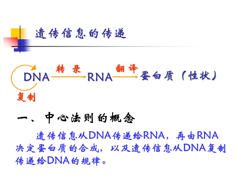 高中生物中心法则;.ppt_第2页