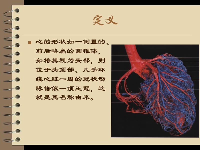 冠状动脉的解剖;.ppt_第3页