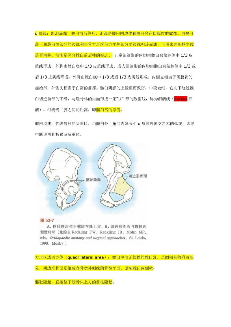 骨盆解剖;.doc_第2页