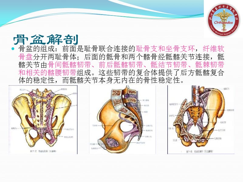 骨盆骨折的分型及治疗;.ppt_第3页