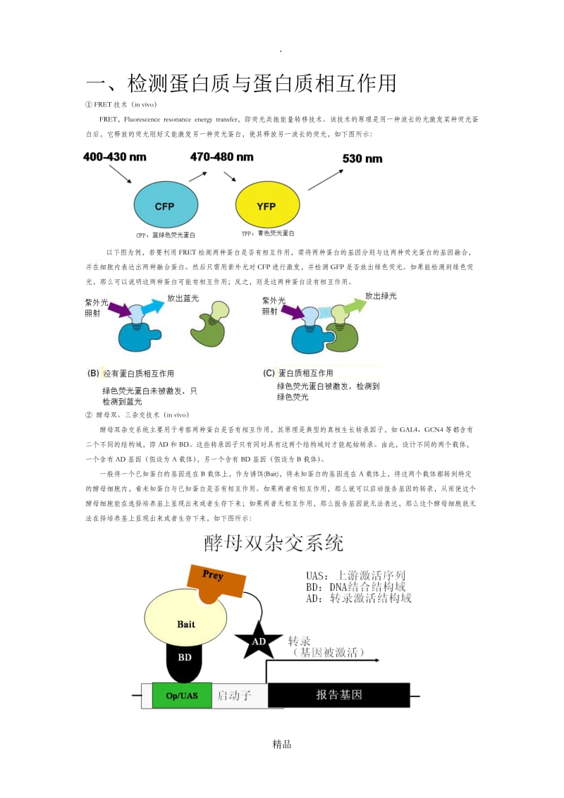 检测蛋白质与蛋白质之间相互作用的实验技术.doc_第1页