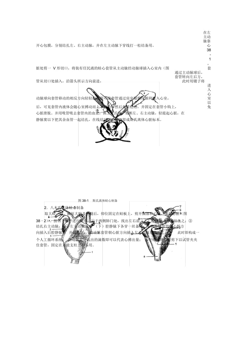 血液循环系统药物实验.docx_第2页