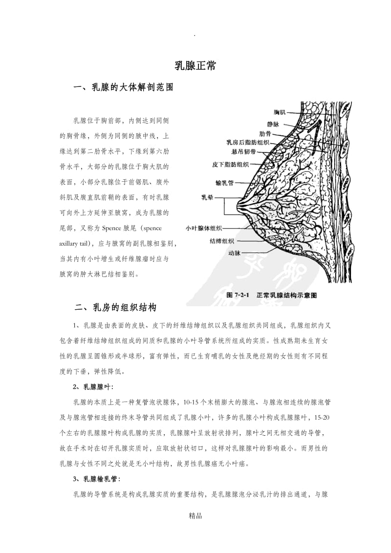 乳腺正常解剖组胚结构.doc_第1页