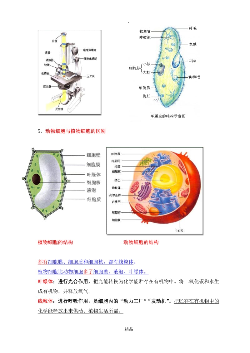 七年级上册生物学知识点总结.doc_第2页