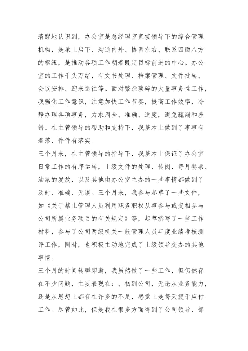 公司文员试用期工作总结怎么写工作总结.docx_第2页