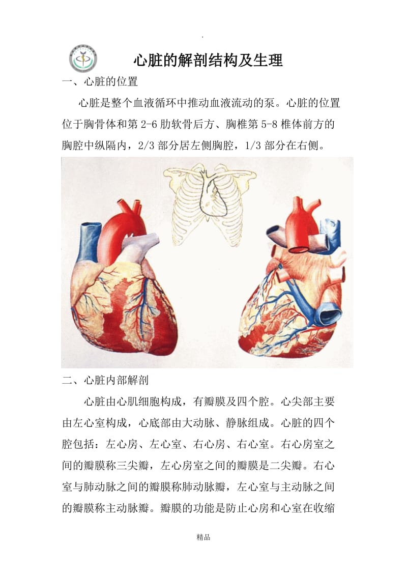 心脏的解剖结构及生理(含彩图).doc_第1页