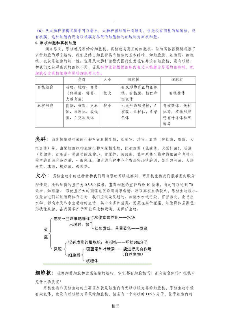 第二节 细胞的多样性和统一性教案.doc_第3页