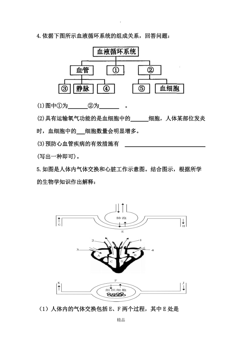 心脏练习题.doc_第2页