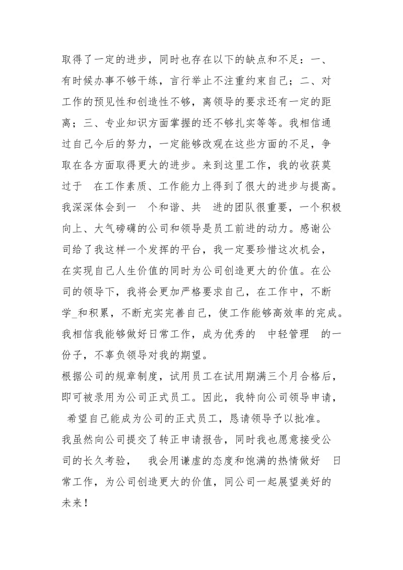 监理员试用期转正工作总结PPT模板工作总结.docx_第2页