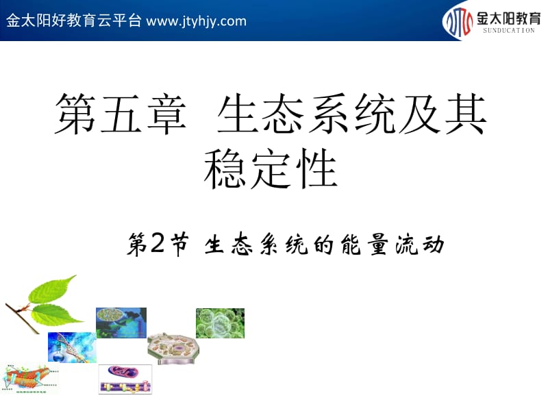 《生态系统的能量流动》非常赞.ppt_第1页