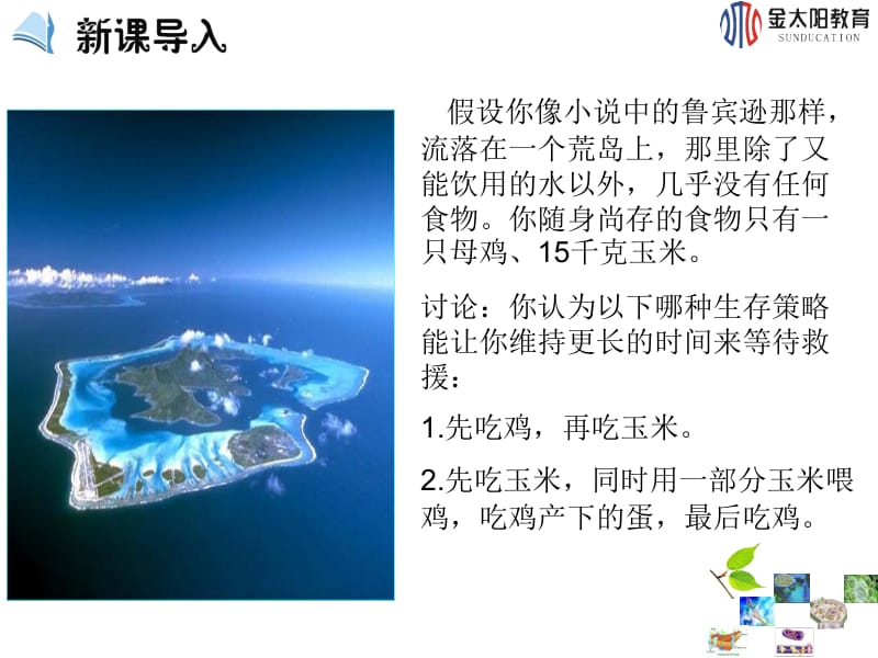 《生态系统的能量流动》非常赞.ppt_第3页