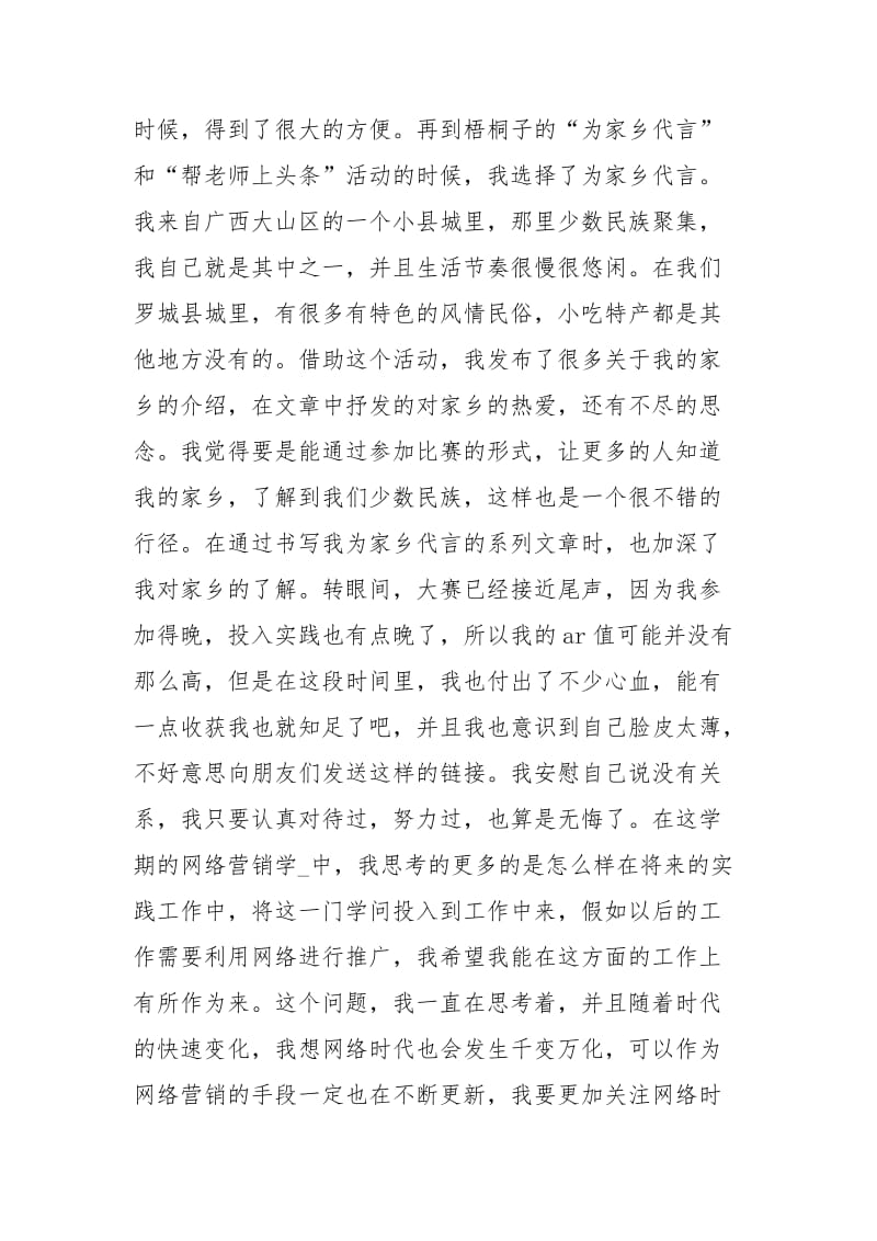 大学生络营销实践总结报告.docx_第2页