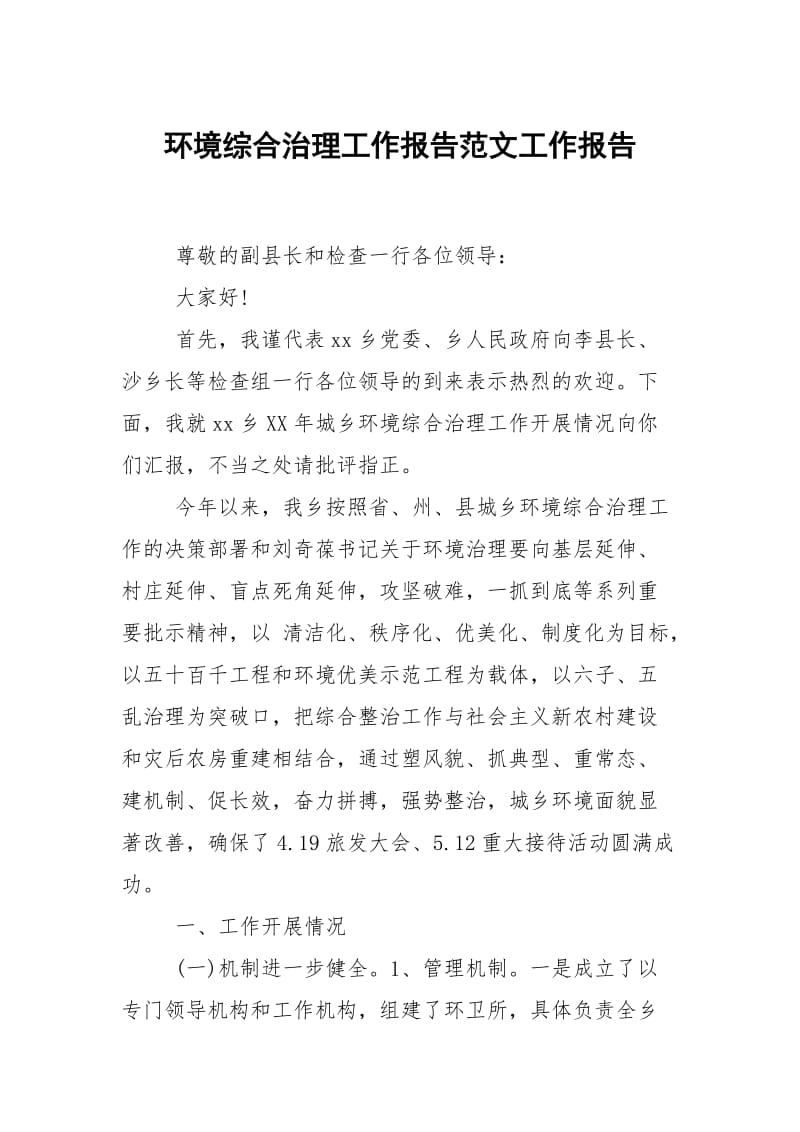 环境综合治理工作报告范文.docx_第1页