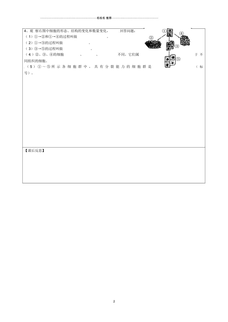 江苏省连云港市灌云县四队中学初中七年级生物下册8.2细胞的分裂和分化名师精编学案(无答案)苏科版.docx_第2页