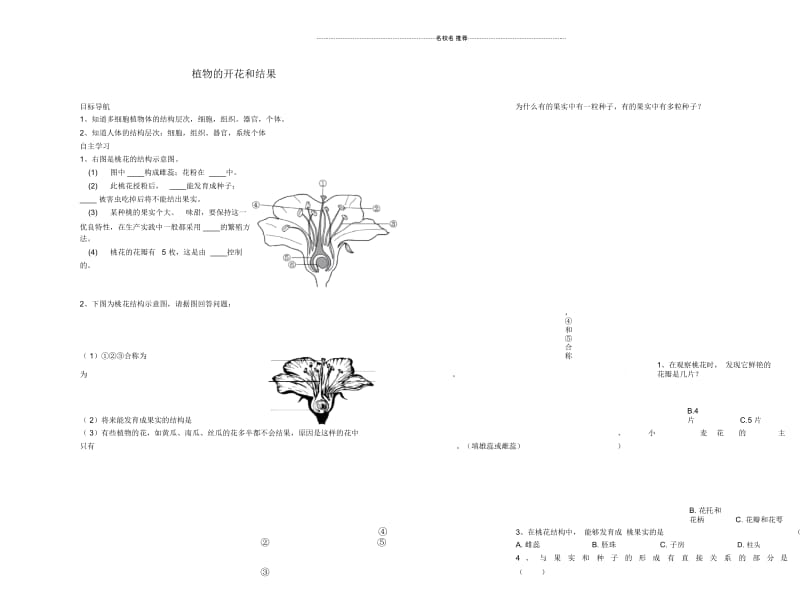 甘肃省会宁太平中学初中七年级生物上册植物的开花和结果名师精编导学案(无答案)苏教版.docx_第1页