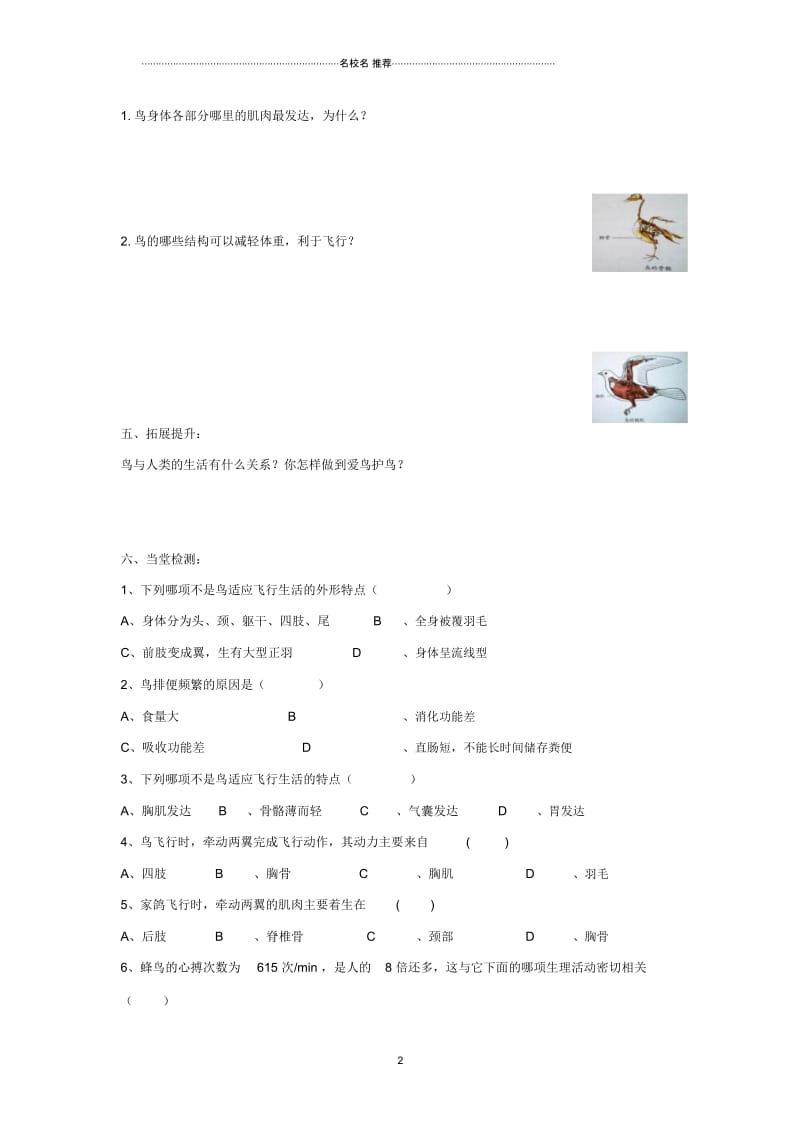 初中八年级生物上册5.1.6鸟名师精选导学案1无答案新版新人教版.docx_第3页