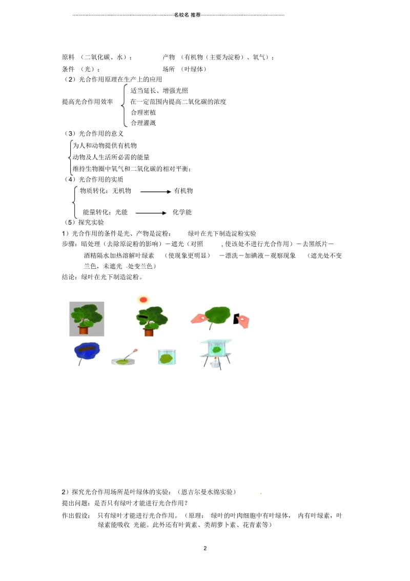 中考生物二轮专题复习专题五植物体内物质的转化名师精选教案1人教新课标版.docx_第2页