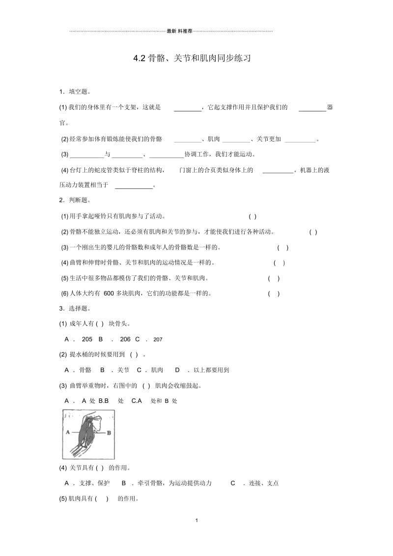 小学四年级科学上册4.2骨骼关节和肌肉练习教科版.docx_第1页