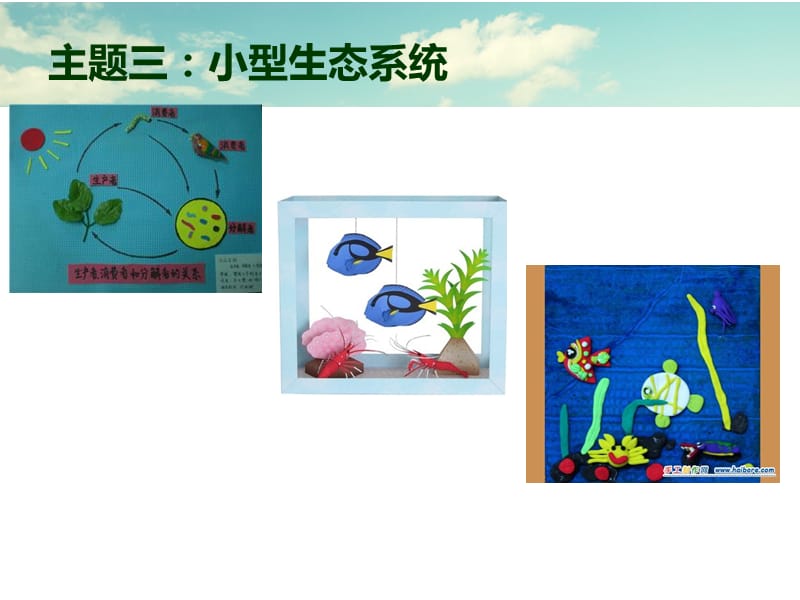 生物手工制作样本完整版.ppt_第3页