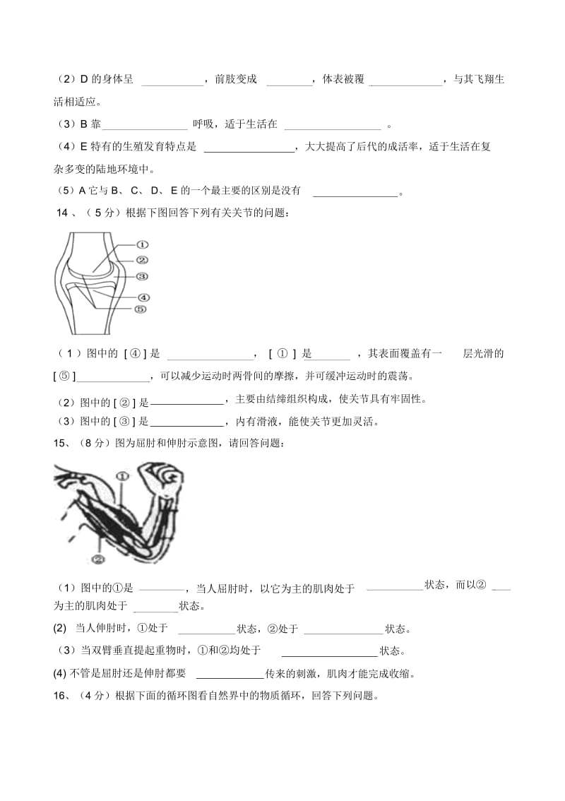 内蒙古自治区包头市达茂旗百灵庙第二中学2013年八年级上学期期中考试生物试卷.docx_第3页