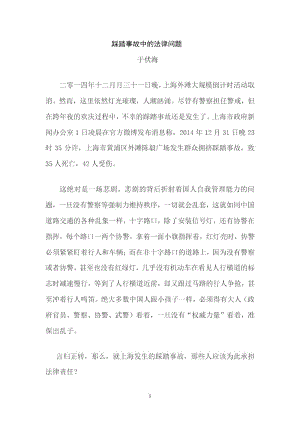 上海外滩踩踏事故的法律问题.docx