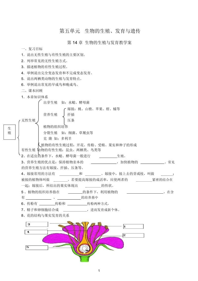 生物的生殖与发育教学案.docx_第1页