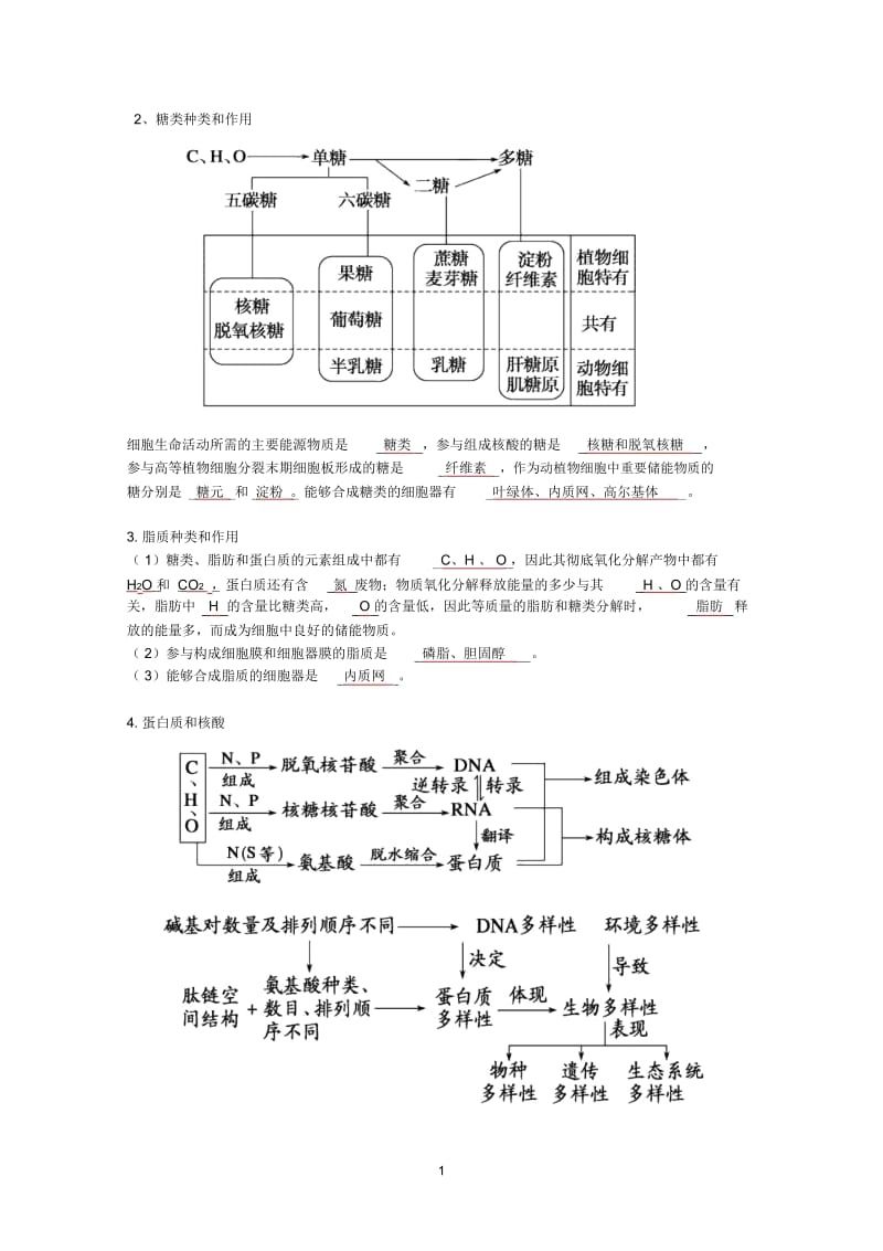 二轮必修1学案(答案).docx_第1页