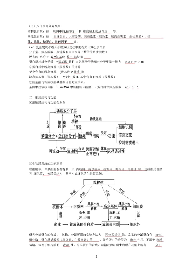 二轮必修1学案(答案).docx_第2页