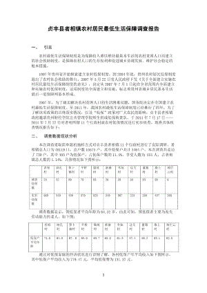 农村最低生活保障调查报告(者相镇).docx