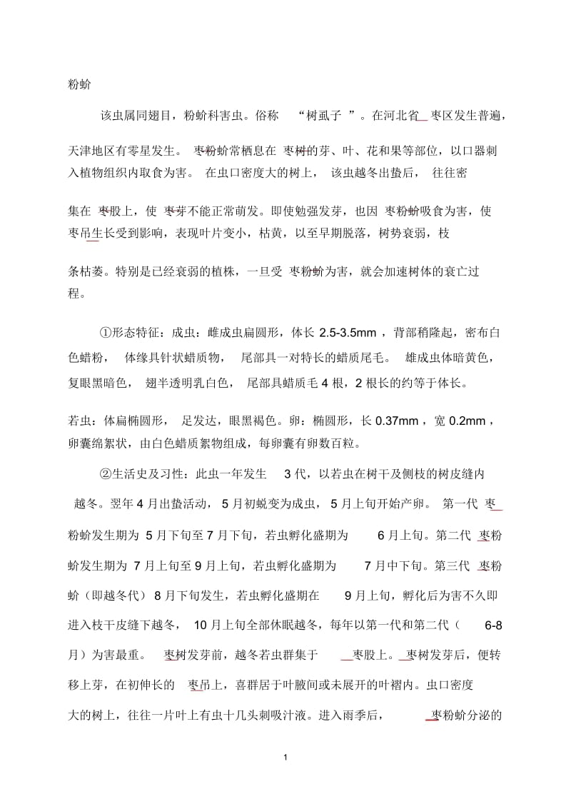 枣树主要害虫介绍枣粉蚧.docx_第1页