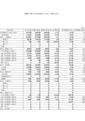 2009年02月基本型乘用车(轿车)销售汇总表.docx