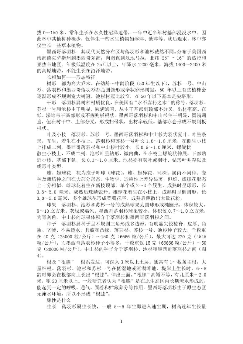 区别墨西哥落羽杉中山杉落羽杉.docx_第2页