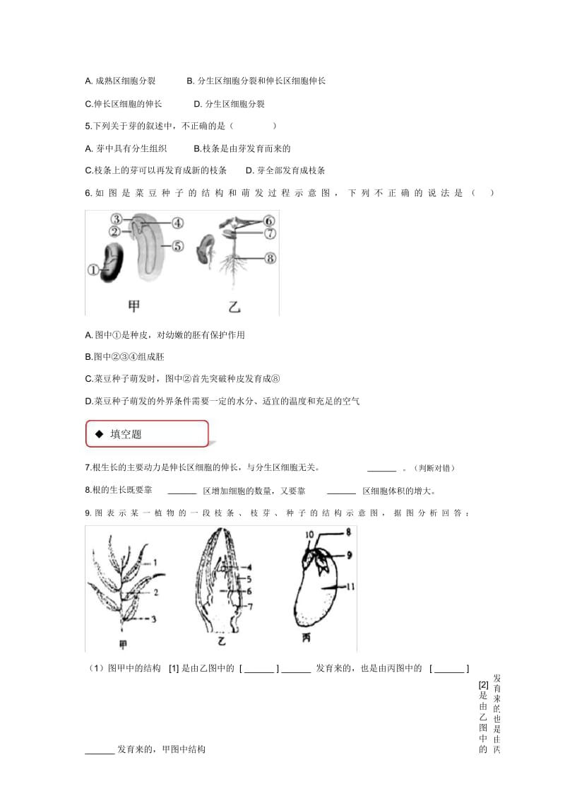 【同步练习】《植株的生长》(人教).docx_第2页